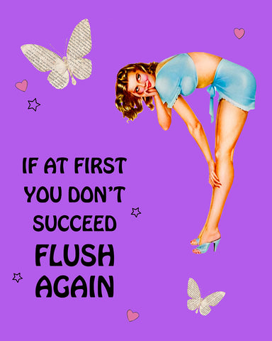 If At First You Don't Succeed Flush Again No3