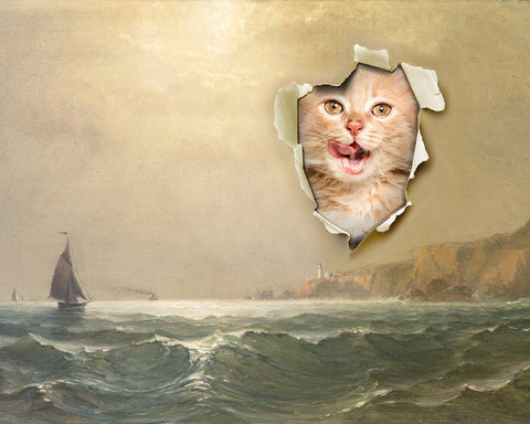 Popping Cat No2
