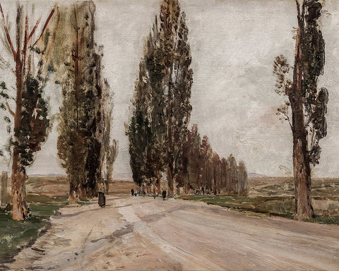 Boulevard of Poplars near Plankenberg