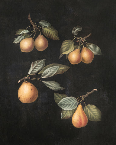 George Brookshaw - Pears