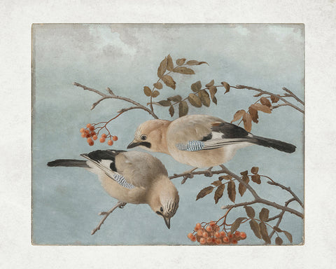 Ferdinand von Wright - Jays