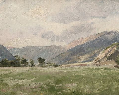 Mountain Meadow