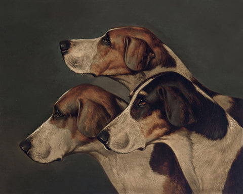 John Arnold Wheeler - Three English Foxhounds