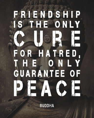 Friendship Is The Only Cure