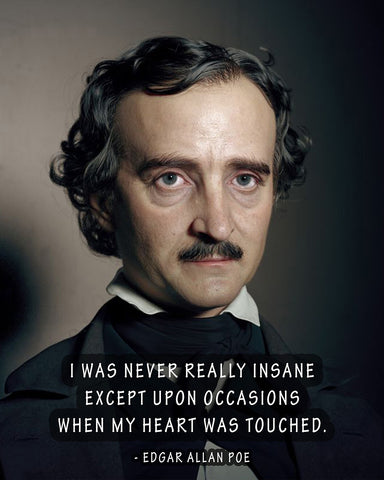 I Was Never Really Insane