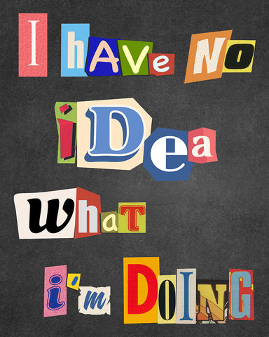 I Have No Idea What I'm Doing