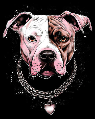 Pit Bull
