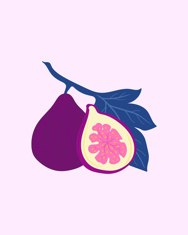 Fig Fruit No1