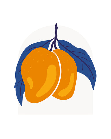 Mango Fruit
