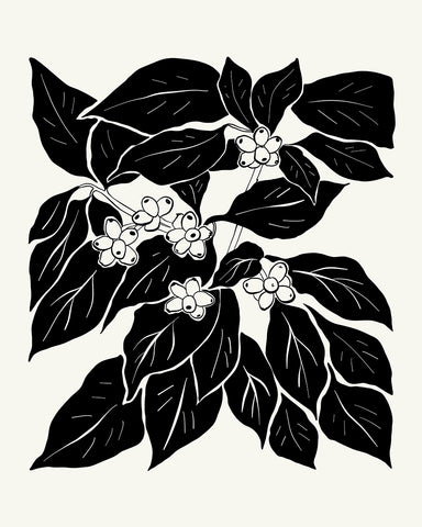 Abstract Plant Illustration