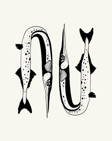 Abstract Needlefish