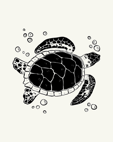 Abstract Sea Turtle