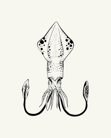 Abstract Squid No2