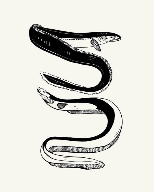Unframed
