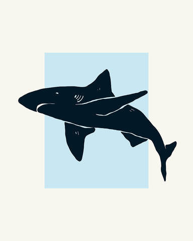 Shark No2