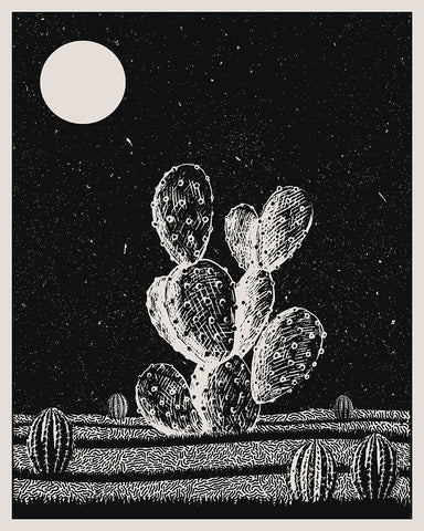 Cactus at Night