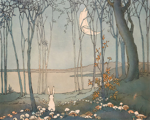 Bunny and the New Moon