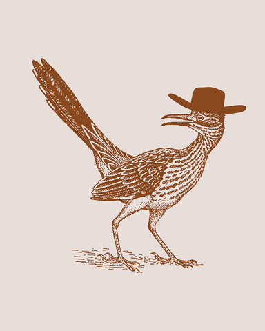 Brown Roadrunner