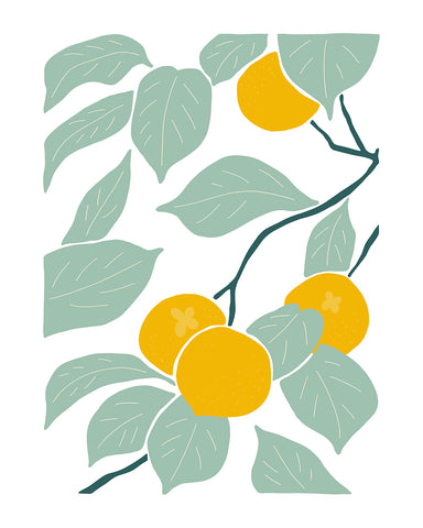 Lemon Tree