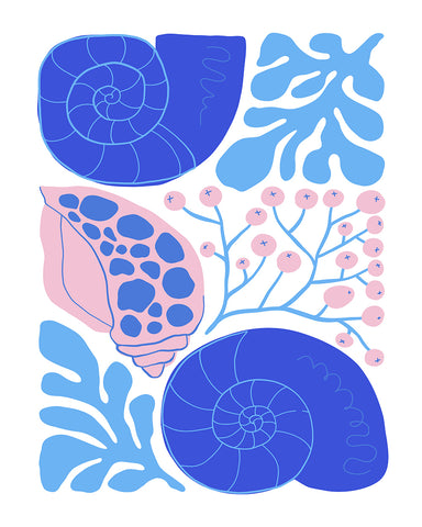 Groovy Seashell No2