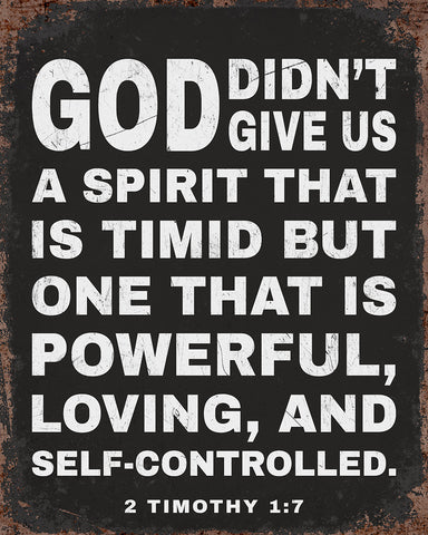 A Spirit That Is Timid No1