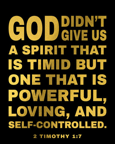 A Spirit That Is Timid No2