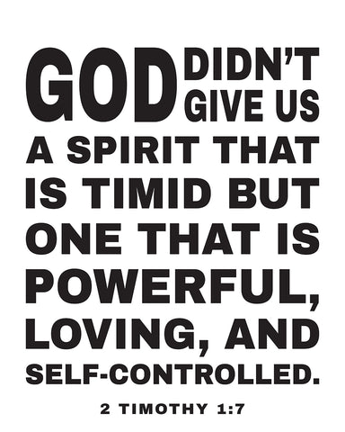 A Spirit That Is Timid No3