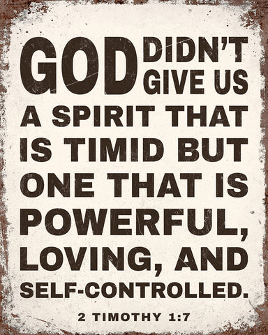 A Spirit That Is Timid No4