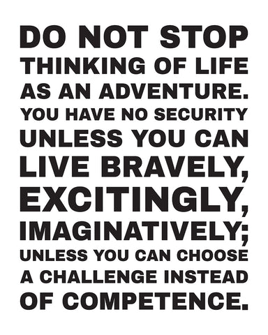 Life As An Adventure No3