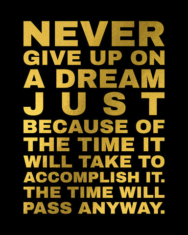 Never Give Up on A Dream No2