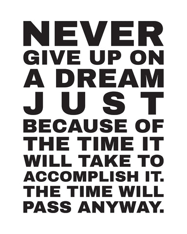 Never Give Up on A Dream No3