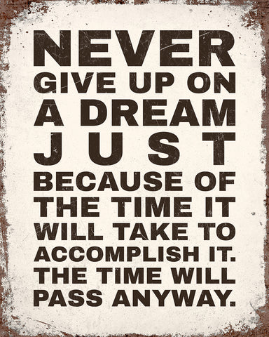 Never Give Up on A Dream No4