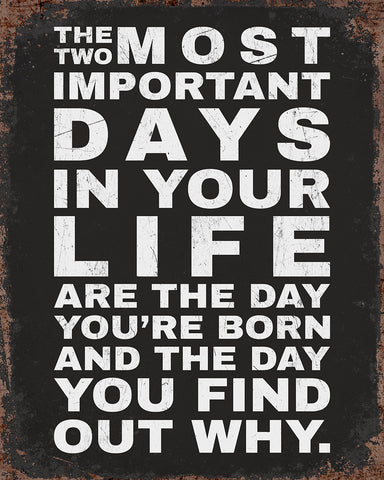 Two Most Important Days No1