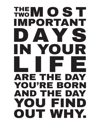 Two Most Important Days No3