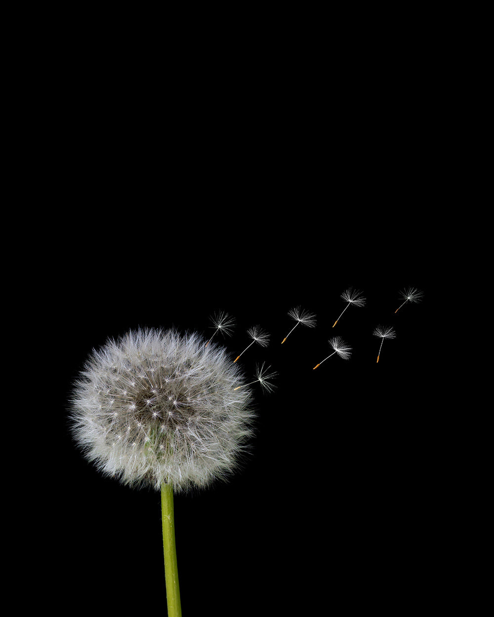 Unframed
