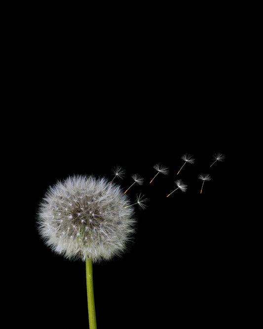 Unframed