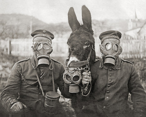 Donkey And Two Soldiers