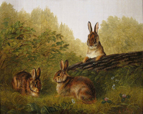 Rabbits on A Log
