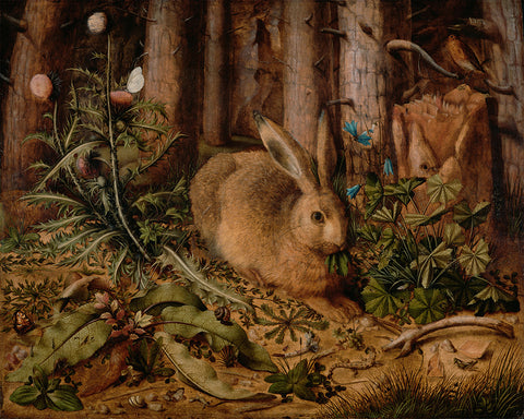 A Hare In The Forest