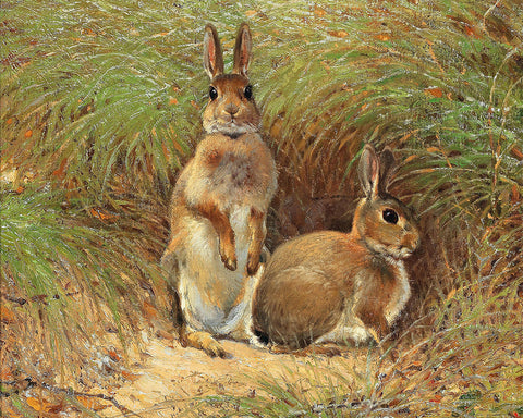 Rabbits Painting No1