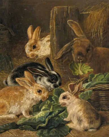 A Mother Rabbit and Her Young