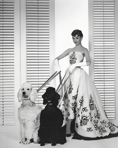 Audrey With Poodles