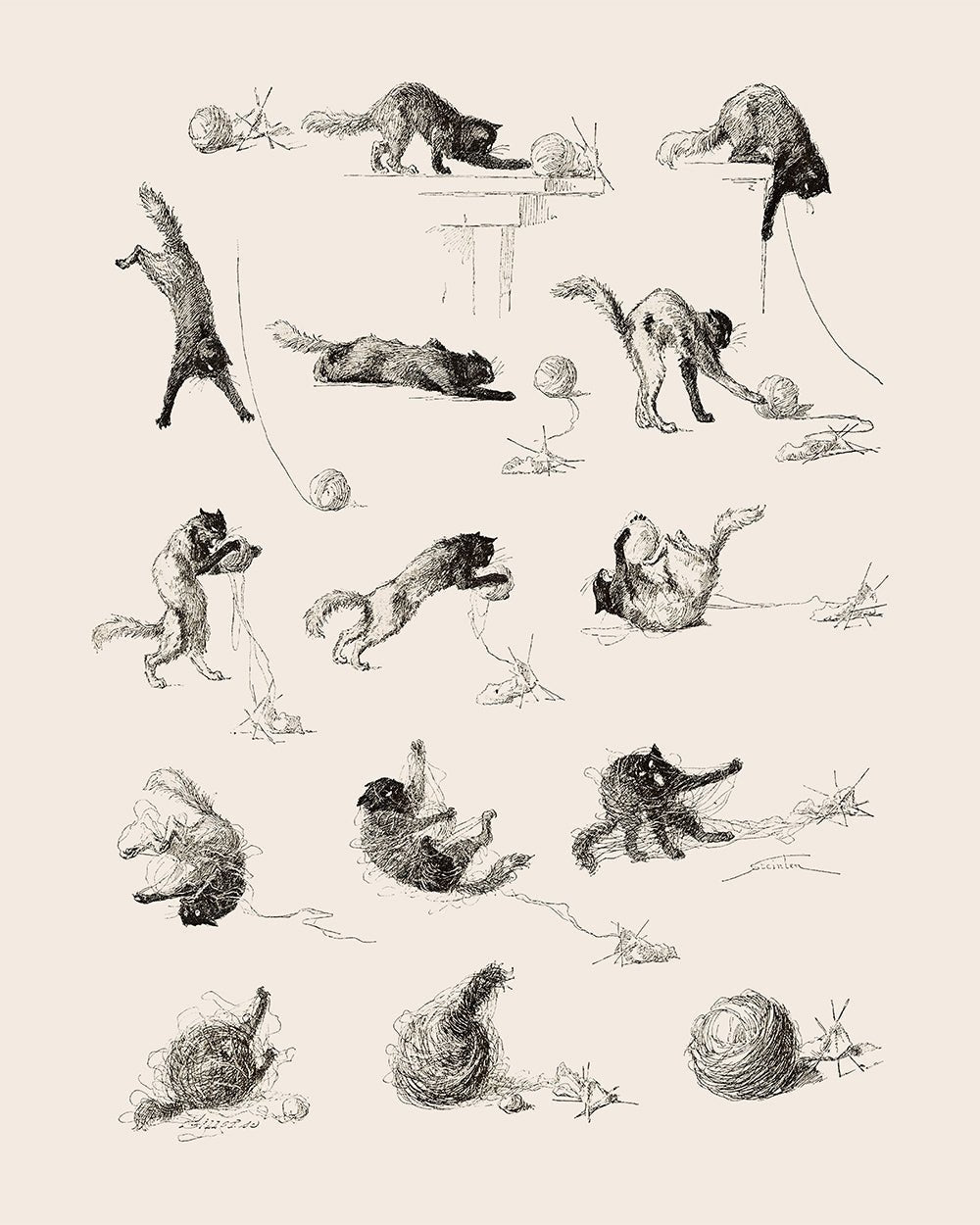 Cat Study Reference Cat Studies – Poster Master