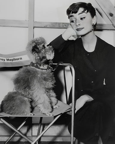 Audrey With Puppy