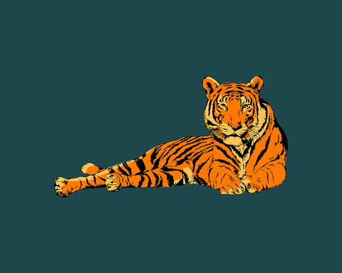 Lying Tiger No1