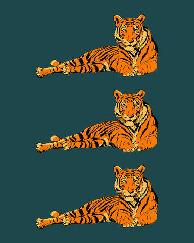 Lying Tiger No3