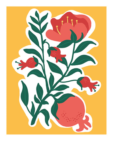 Pomegranate Fruit