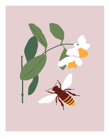 Honeybee & Flower