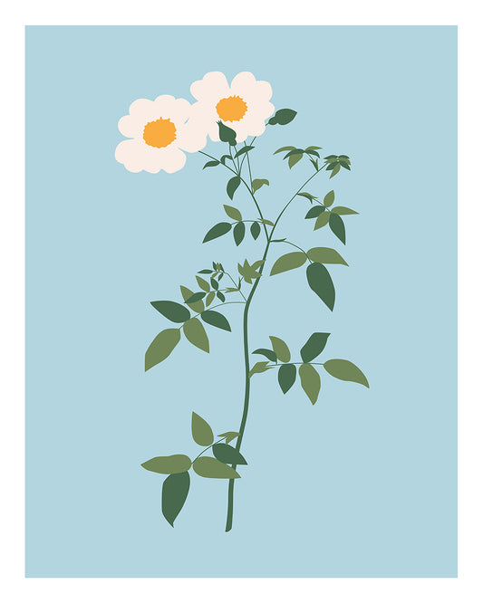 Unframed