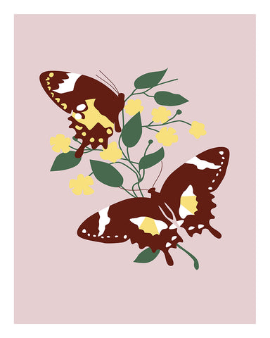 Butterflies & Flowers
